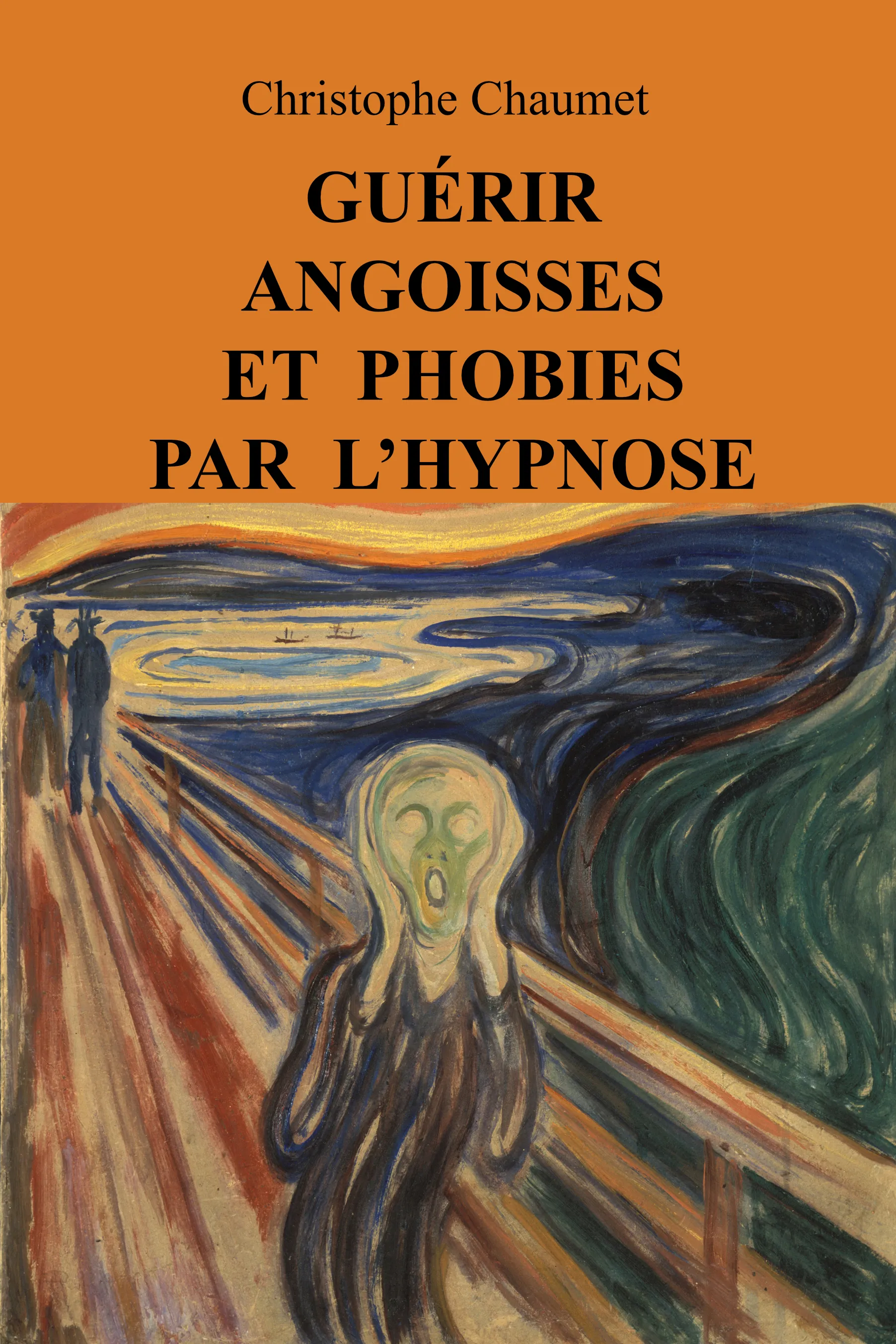 Couverture — Guérir angoisses et phobies